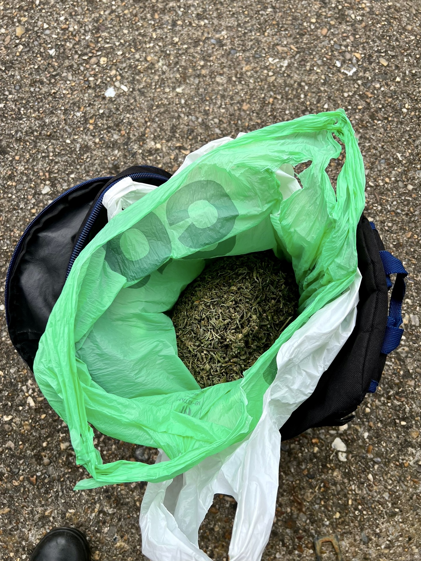 Seized drugs