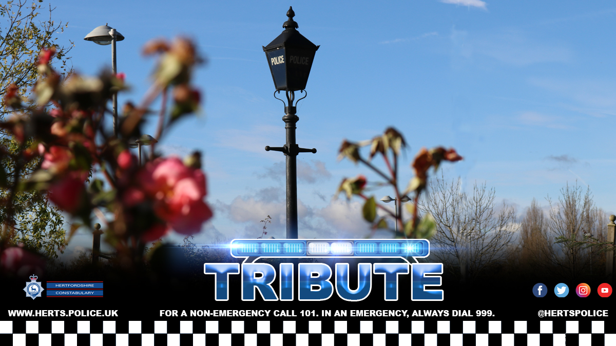 Tribute graphic