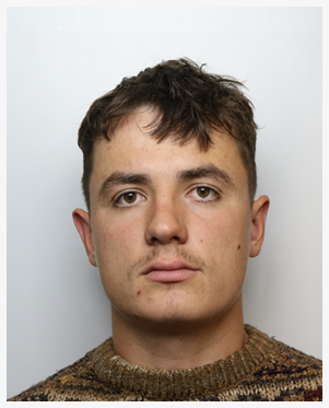 Dinis Cibotari