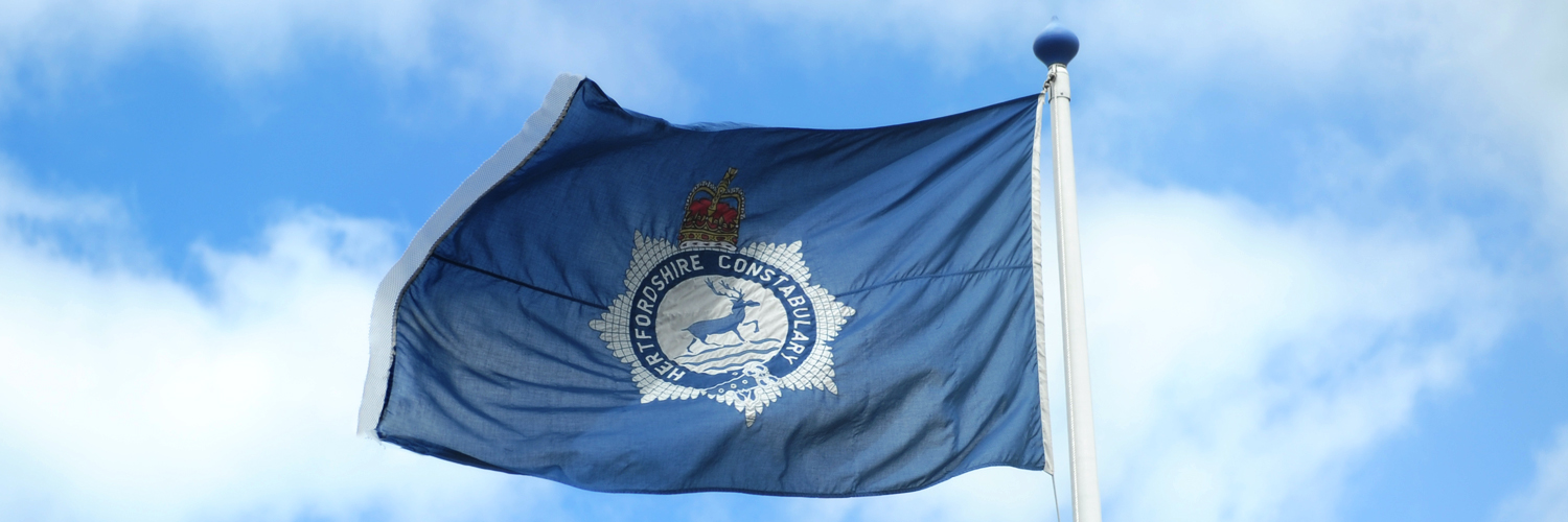 Constabulary flag