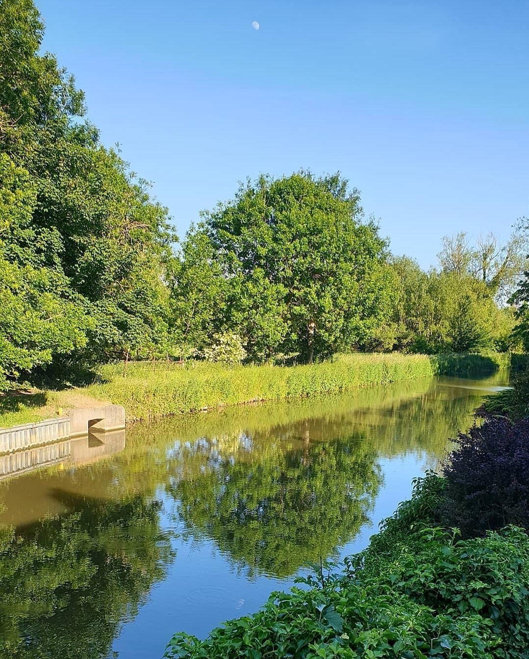 Image of River Stort in Sawbridgeworth