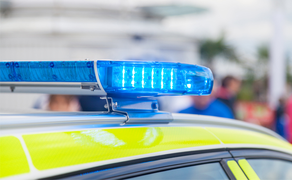 Police car siten