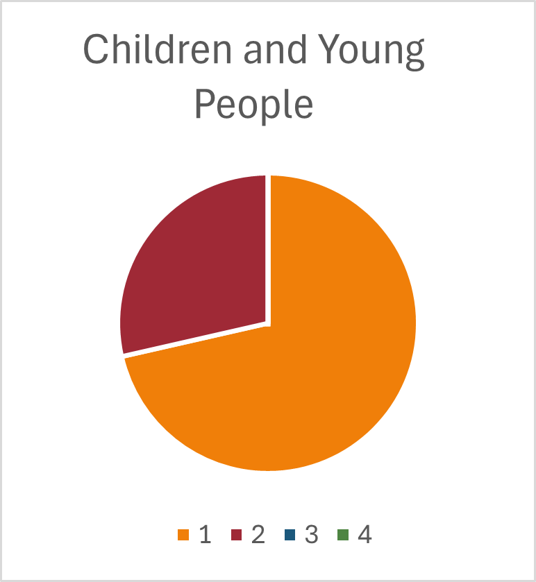 Youth cases