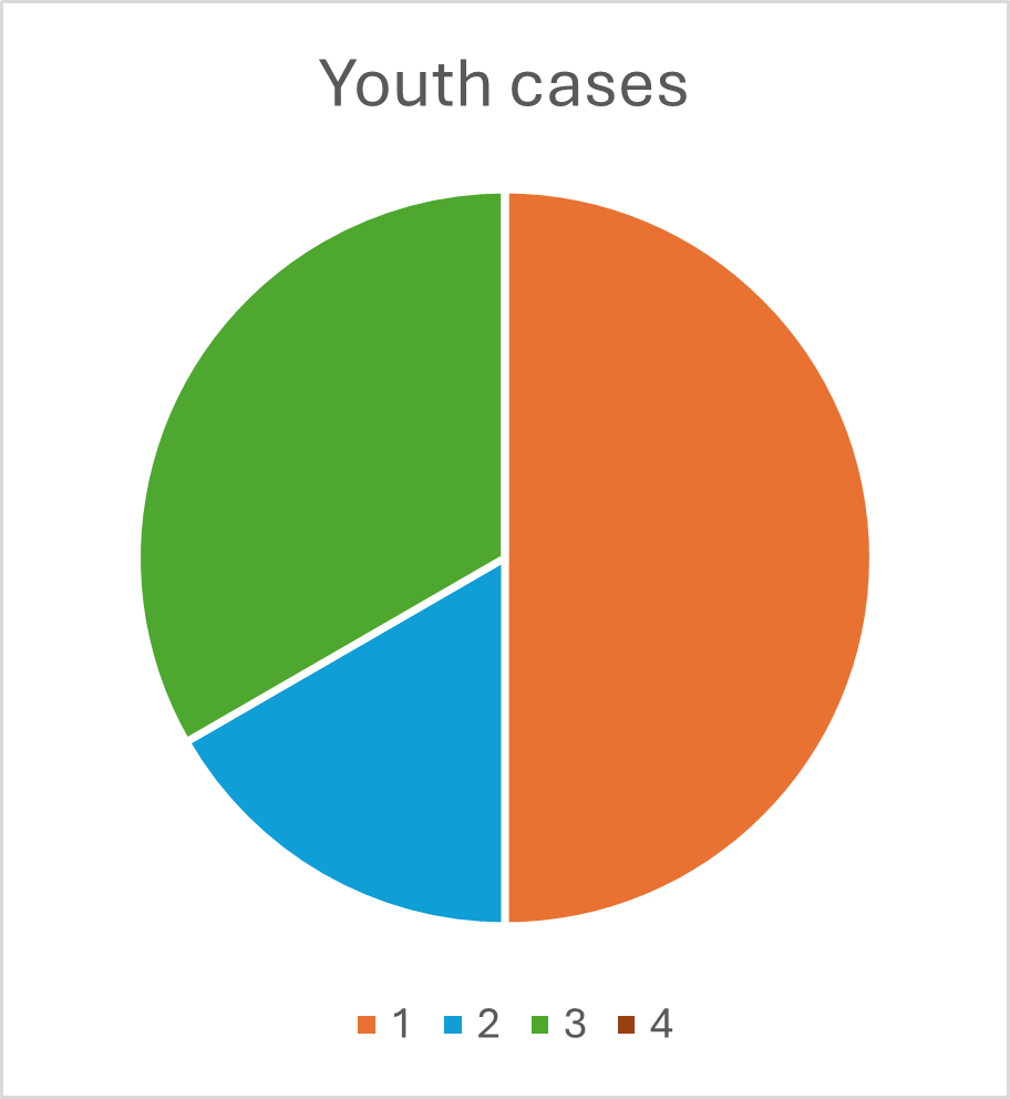 Youth cases