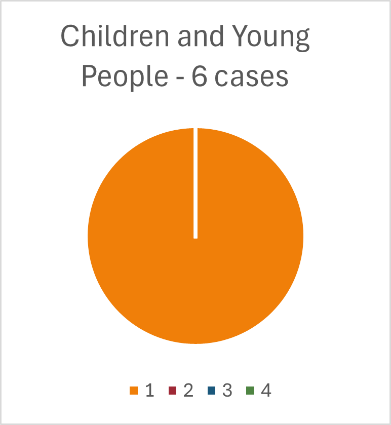Youth cases