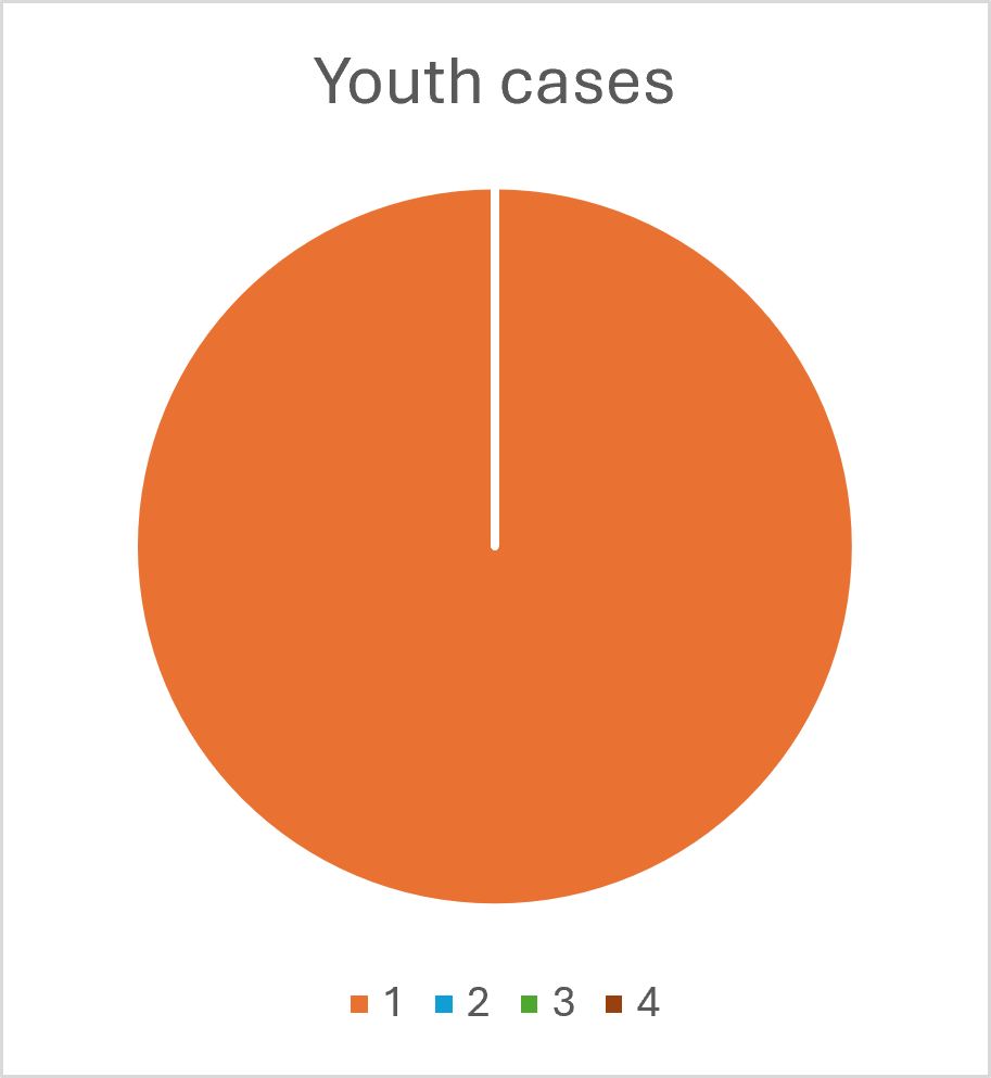 Youth cases